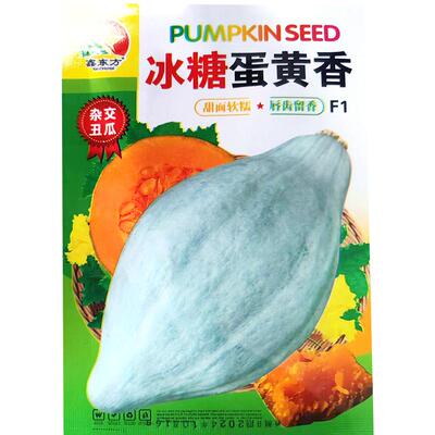 大田用种孑粉香型红瓤高产南瓜