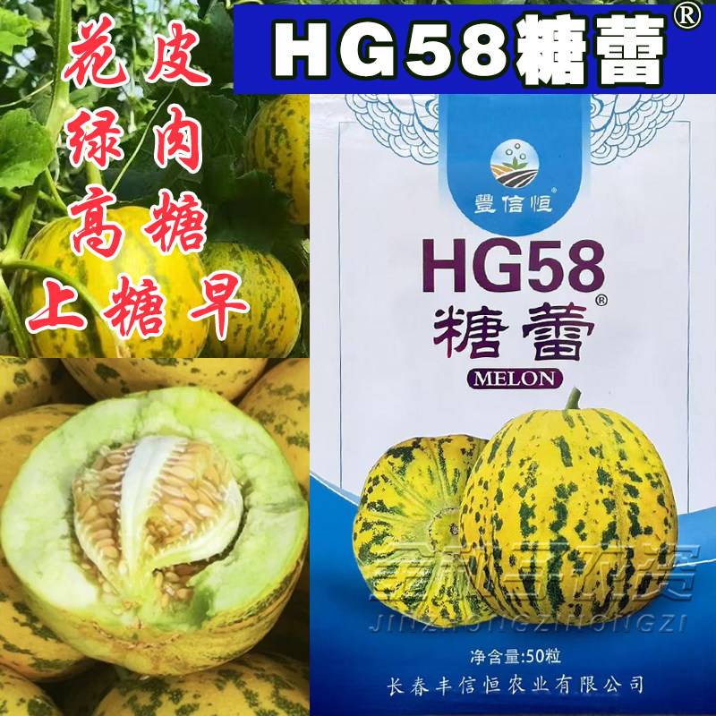 糖蕾甜瓜种子高糖新品种特甜大果八里香甜瓜种籽花皮绿肉干瓤薄皮