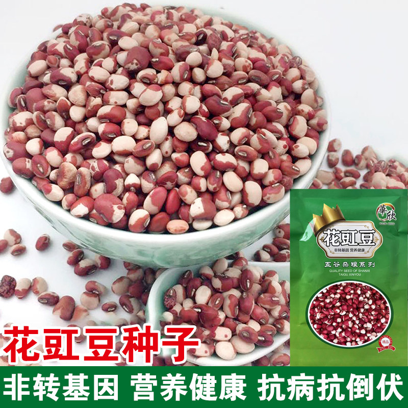 花豇豆种子红豆绿豆黑豆种籽春夏季五谷杂粮种不打架高产农家菜种