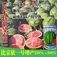 [Япония сладкое лето раннее повелитель] 50 граммов консервирования