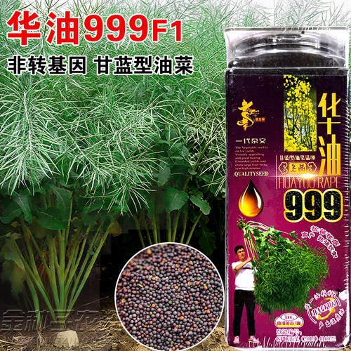 华油999F1高产优质油菜种子