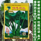 Хрустящая горчичная семена Толстая полоса Большая бамбука стреляет сладкие карку, гуандонг SI Seasons Rapeed Big капуста, семена осенних овощей.