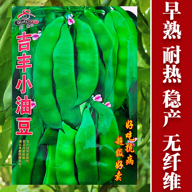 九月青种子东北油豆角新品种将军豆红绿小油豆芸豆蔬菜籽无筋豆粒
