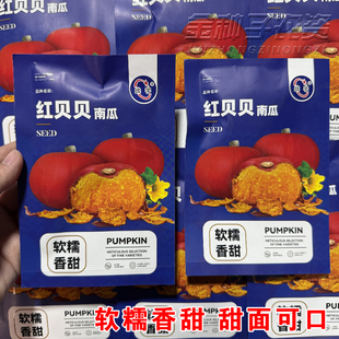 红贝贝南瓜种子果肉粉糯甜面软糯香甜小南瓜种子苗蔬菜种子板栗味