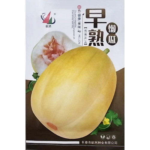 懒汉春季无需整枝甜瓜高糖型种子