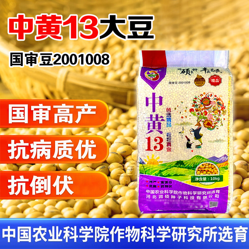 早黄豆种籽农家大豆种子高产特早熟发豆芽孑20斤豆种大粒黄豆毛豆