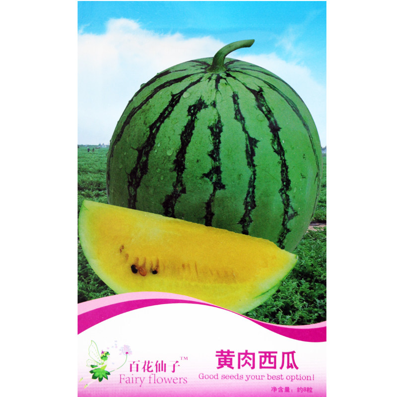 百花仙子黄肉西瓜种子 果肉黄色瓤早熟高产 盆栽阳台水小果型水果