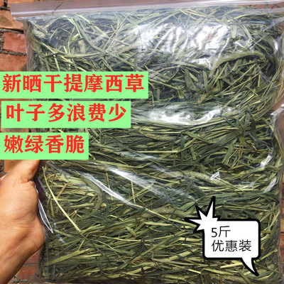 2023提摩西草北提提草兔草兔牧草荷兰猪龙猫粮草兔子用品 5斤包邮