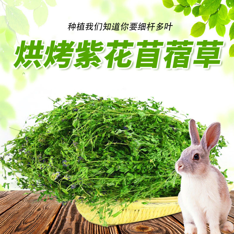 25年新烘干紫花苜蓿草 幼兔粮兔兔干草