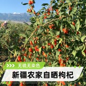 正宗新疆特产特级精河枸杞无硫不染色农家自晒头茬枸杞子泡酒泡茶