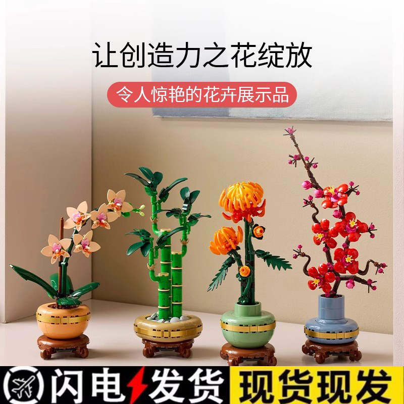 典雅兰富贵竹黄金菊傲骨梅积木