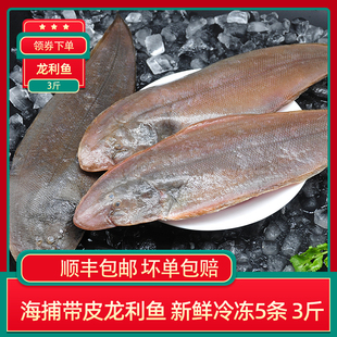 超大海捕带皮龙利鱼5条牛舌鱼新鲜冷冻鳎目鱼踏板鱼舌头鱼