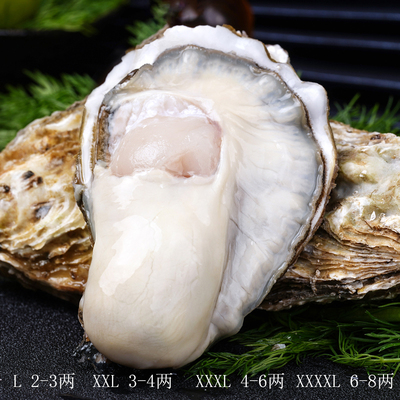 3+4+5+6+生蚝顺丰包邮