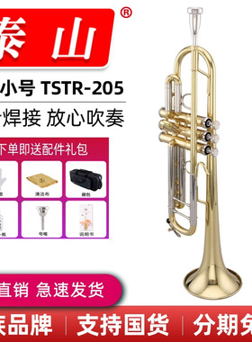 泰山乐器小号 铜管乐器TSTR-205军乐队专业小号 降B调