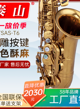 泰山降e调中音萨克斯风管乐器TSAS-T6浮雕按键工艺麻青古铜专业