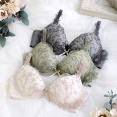 Risa Magli正品 优丽娜娜聚拢文胸少女士内衣大钢圈1型圆盘GH杯861