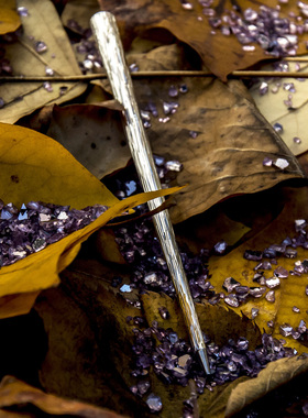 意大利Pininfarina Napkin Forever Pretiosa不用墨水的笔永恒笔