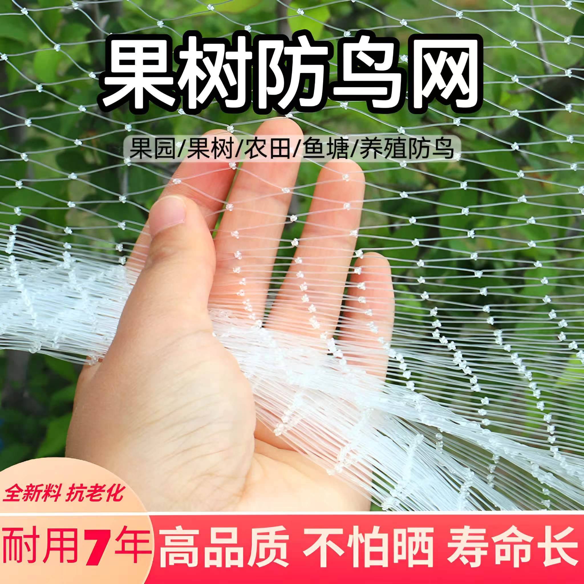 果树防鸟网果园樱桃嘉宝枇杷梨树防鸟罩葡萄园阳台菜园尼龙防护网