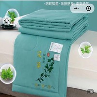 宇帝用品艾草驅(qū)蚊夏涼被純棉全棉可機(jī)洗抗菌薄被子夏季雙人空調(diào)被
