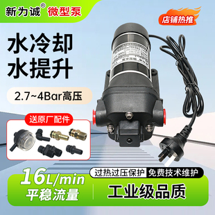 新为诚厂家直销 220V设备配套水循环电动隔膜自吸水泵BSP40160TAC