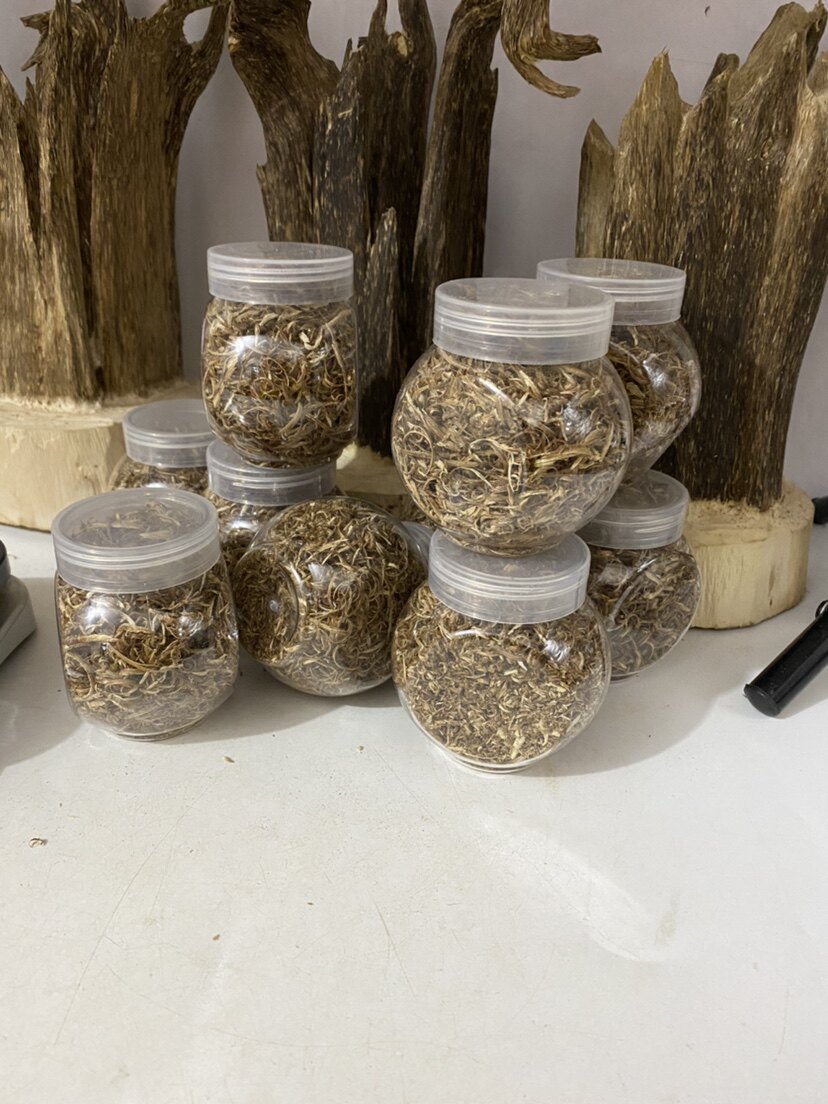 沉香树心勾丝海南原木刮香熏料车载熏香泡茶煮水上炉安神助眠