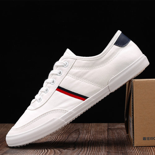 春季帆布鞋小白鞋透气平底新款