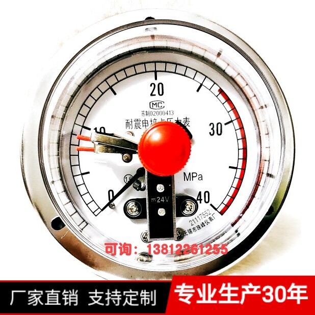 无锡市珠峰仪表厂zfyb 磁敏簧感应式24v电接点双上限轴向背接带边