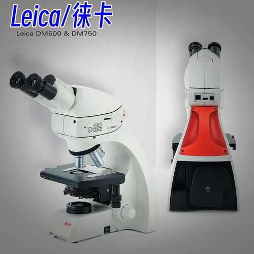 徕卡/Leica生物显微镜专业级