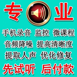 音频降噪处理去风声电流底噪环境音修复人声音乐伴奏提取声音优化