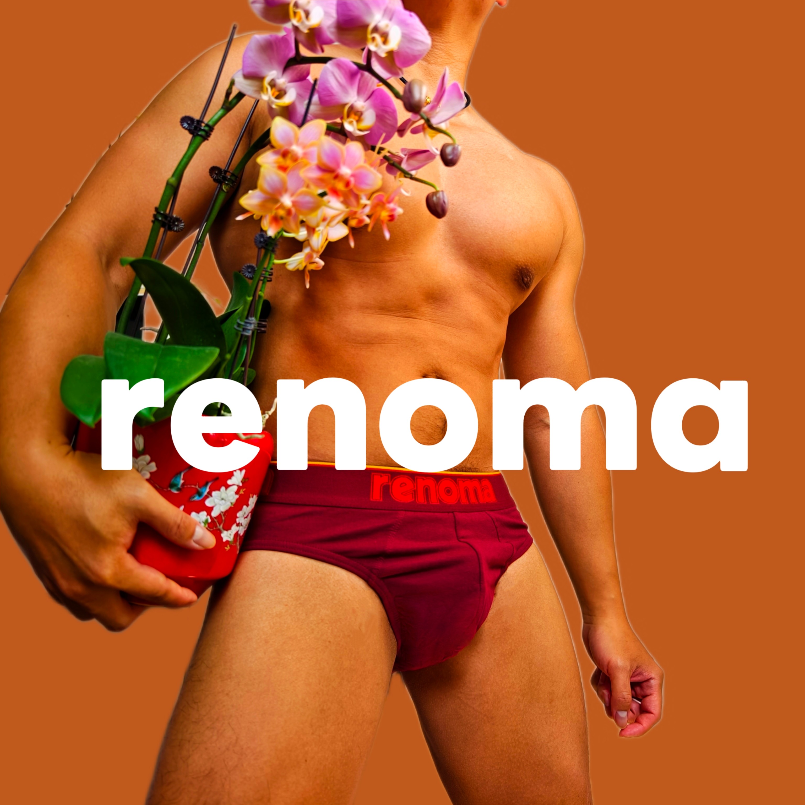 renoma 马年鸿运男士内裤三角内裤运动内裤本命年红内裤 纯棉