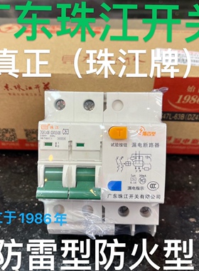 广东珠江开关DZ47LE双极63A防雷防火型珠江漏电开关断路器漏保护