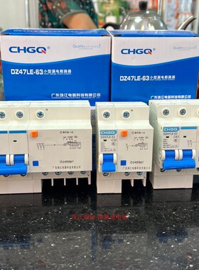 广东珠江漏电保护器2P63A32a断路器带空气开关DZ47家用220V漏保