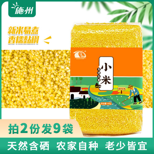 黄小米新米黄米宝宝粥米农家含硒粗粮小黄米五谷杂粮350g*3袋 - 封面
