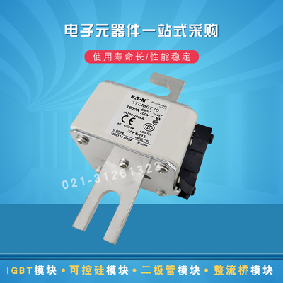 快速熔断器保险丝170M6777 6778 6779 6780 6781 6782 6783 6784