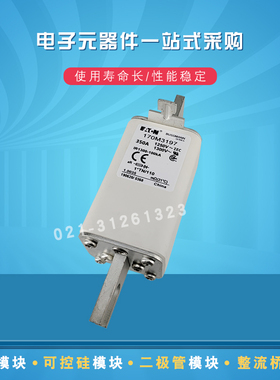 巴斯曼快速熔断器170M3191 3192 3193 3194 3195 3196 3197 3198
