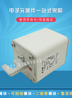 快速熔断器保险丝170M5143 5144 5145 5146 5147 5148 5149 5150