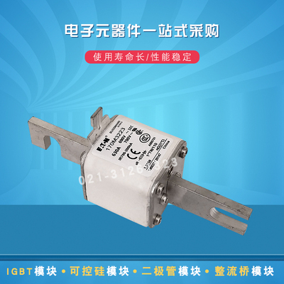 快速熔断器保险丝170M3216 3217 3218 3219 3220 3221 3222 3223