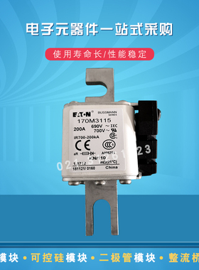 快速熔断器保险丝170M3008 3009 3010 3011 3012 3013 3014 3015