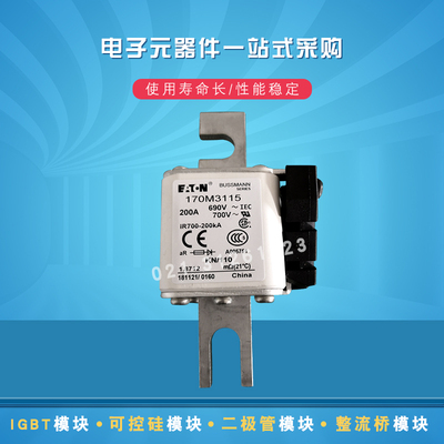快速熔断器保险丝170M3008 3009 3010 3011 3012 3013 3014 3015