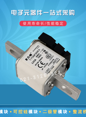 快速熔断器保险丝170M3648 3650 3655 3658 3659 3660 3661 3662