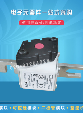 Bussmann熔断器保险丝170M3116 3117 3118 3119 3120 3121 3122