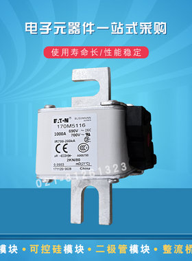 BUSSMANN熔断器170M5112 170M5113 170M5114 170M5115 170M5116原