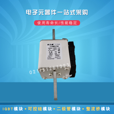 BUSSMANN熔断器170M4750 4751 4758 5759 5760 5761 5762 5763新