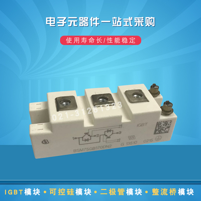 BSM100GB120DLCK BSM100GB120DN2_E3256全新IGBT功率模块
