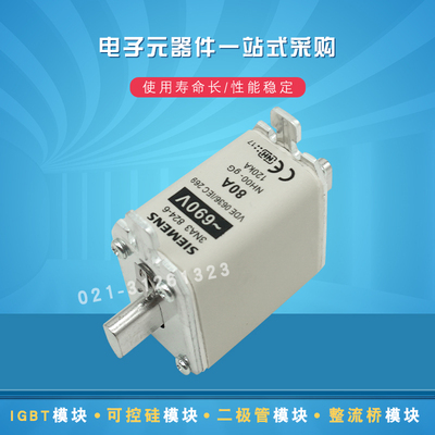3NA3242-2C 3NA3250-2C 3NA3244-2C全新原装快速熔断器