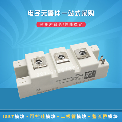SKM75GAL063D SKM100GAL063D SKM145GAL063D全新IGBT模块
