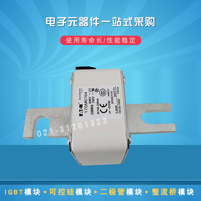 全新快速熔断器170M6764 170M6765 170M6766 170M6768 170M6769