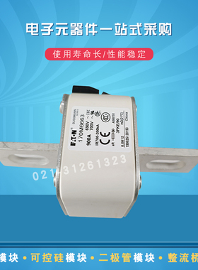 快速熔断器保险丝170M6651 6652 6653 6659 6660 6661 6662 6663
