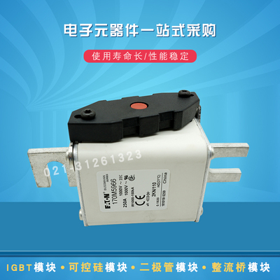 巴斯曼熔断器170M5966 5967 5968 5969 5970 5971 5972 5973 5974