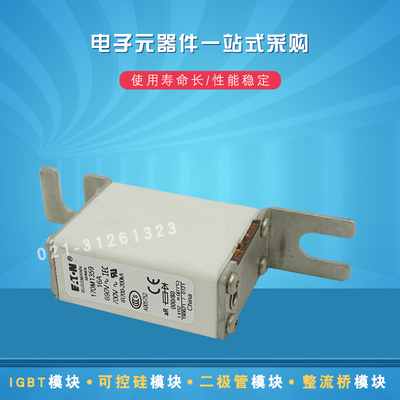 快速熔断器保险丝170M2047 2048 2049 2050 2051 2052 2053 2054